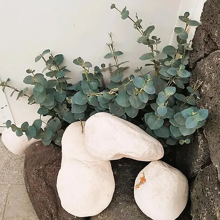 La Terraza アパート