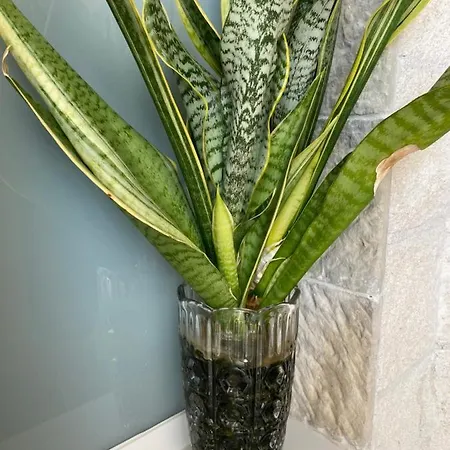 アパート La Terraza *